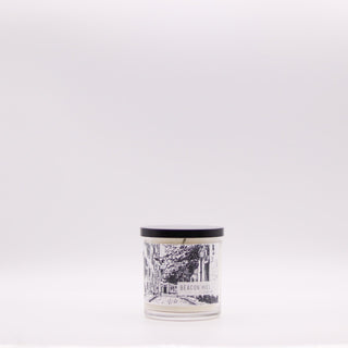 Beacon Hill Soy Candle: Boston Collection - Roots & Wings Candles 